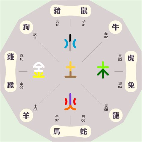 地支的五行|地支